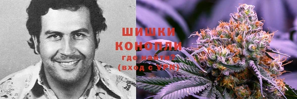 МДМА Медвежьегорск