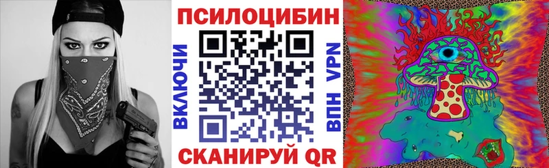 купить наркотики сайты  Ленинградская  hydra ссылки  Галлюциногенные грибы Cubensis 