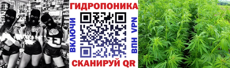 Шишки марихуана семена  Ленинградская 